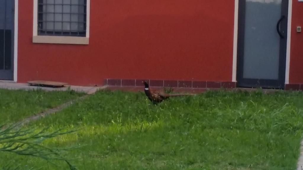 Locanda Veneta Vicenza