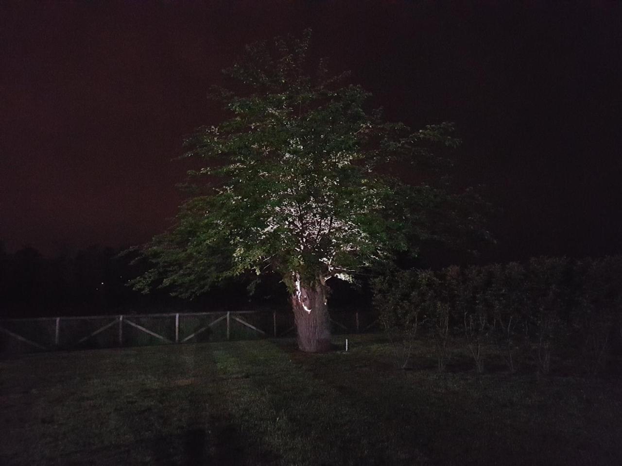 Locanda Veneta Pensão Vicenza